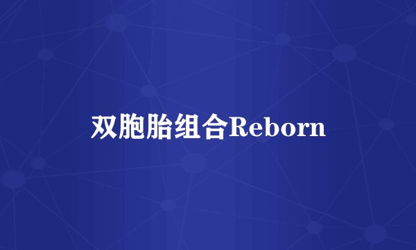 双胞胎组合Reborn
