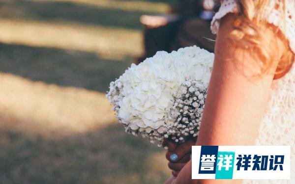 为爱远嫁却遭到家暴？女人，你的幸福何去何从