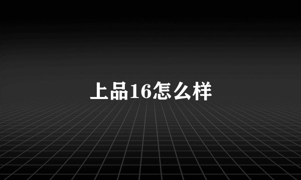 上品16怎么样
