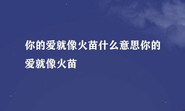 你的爱就像火苗什么意思你的爱就像火苗