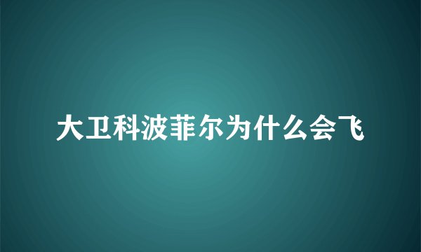 大卫科波菲尔为什么会飞