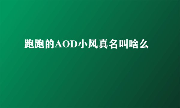 跑跑的AOD小风真名叫啥么