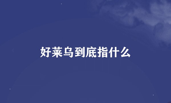 好莱乌到底指什么