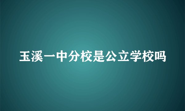 玉溪一中分校是公立学校吗