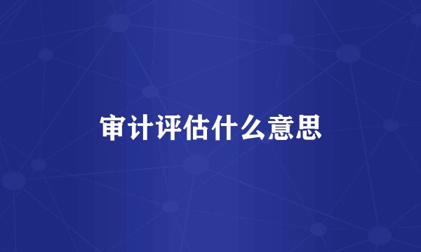 审计评估什么意思