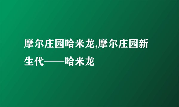 摩尔庄园哈米龙,摩尔庄园新生代——哈米龙