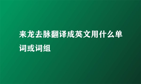 来龙去脉翻译成英文用什么单词或词组