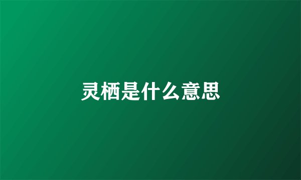 灵栖是什么意思