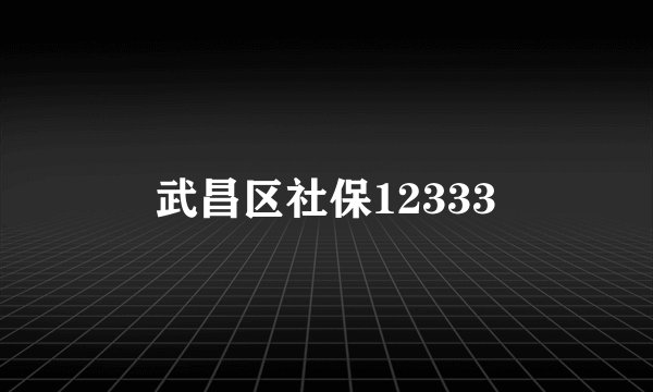 武昌区社保12333