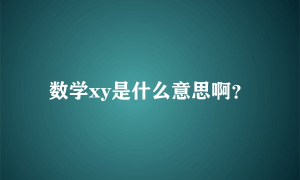 数学xy是什么意思啊？
