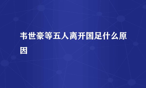 韦世豪等五人离开国足什么原因