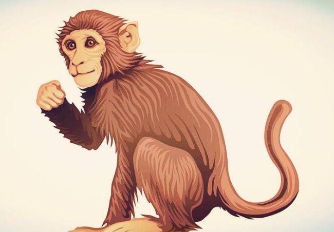 为虎作伥打最佳一生肖