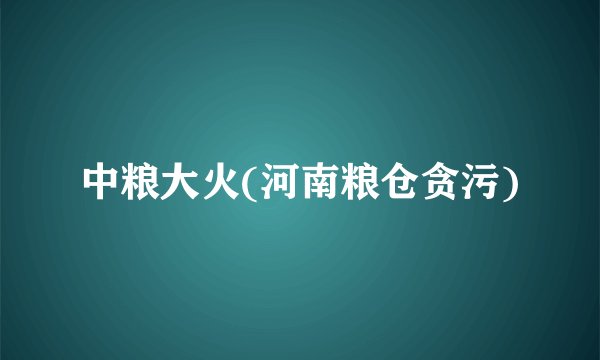 中粮大火(河南粮仓贪污)