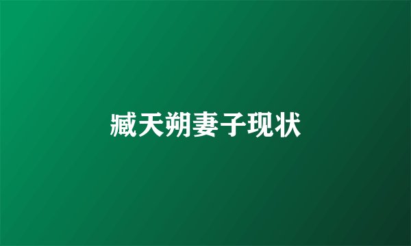 臧天朔妻子现状