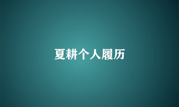 夏耕个人履历