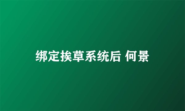绑定挨草系统后 何景