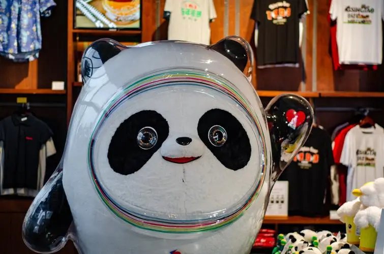湖北一冰墩墩躺房顶2年被捡回洗白白，主人为何此时才想起他？