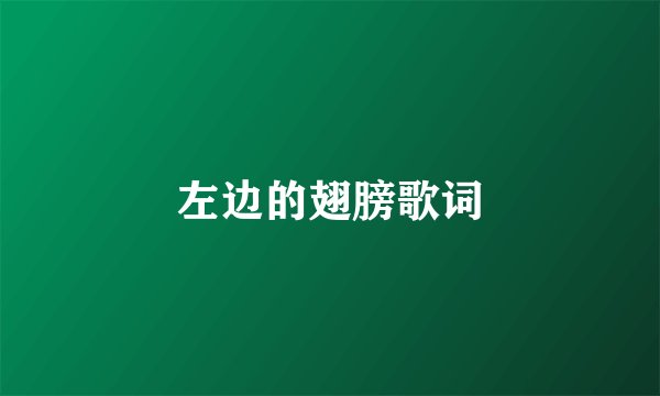 左边的翅膀歌词