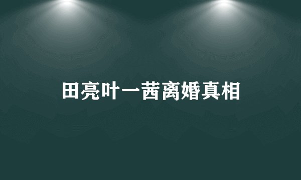 田亮叶一茜离婚真相