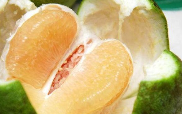 青树结青瓜，青瓜包棉花，棉花包什么？