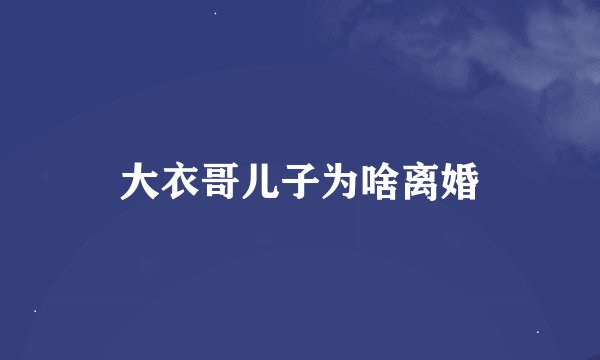 大衣哥儿子为啥离婚