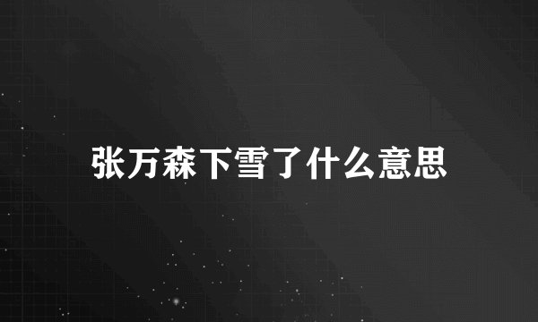 张万森下雪了什么意思