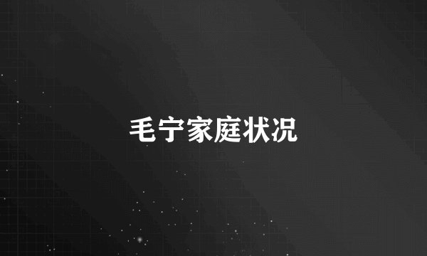 毛宁家庭状况