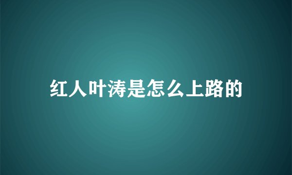 红人叶涛是怎么上路的
