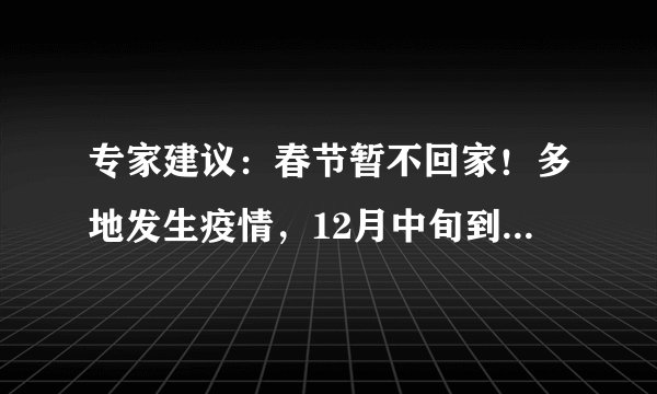 专家建议：春节暂不回家！多地发生疫情，12月中旬到明年1月底仍属高危时段