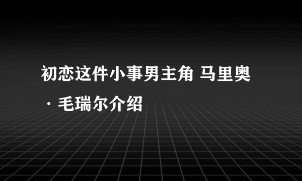 初恋这件小事男主角 马里奥·毛瑞尔介绍