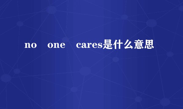 no one cares是什么意思