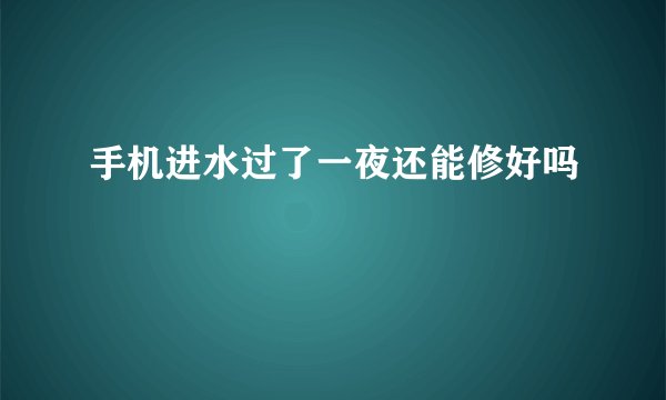 手机进水过了一夜还能修好吗