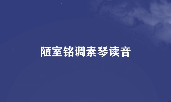 陋室铭调素琴读音