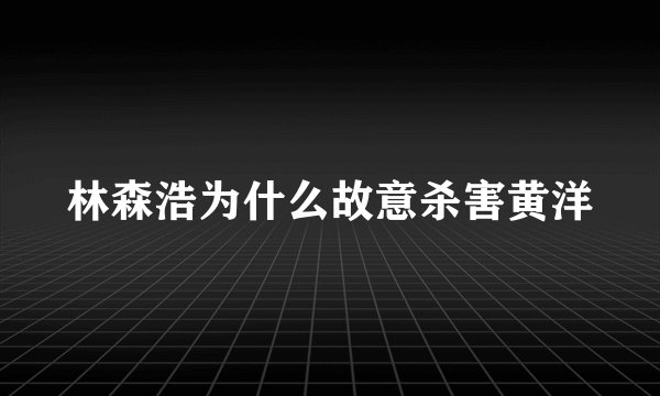 林森浩为什么故意杀害黄洋