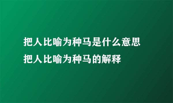 把人比喻为种马是什么意思 把人比喻为种马的解释