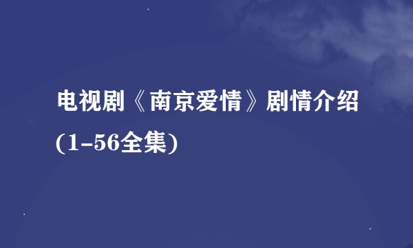 电视剧《南京爱情》剧情介绍(1-56全集)
