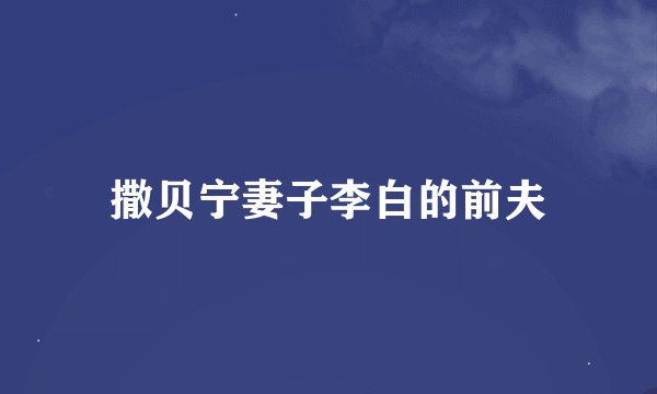 撒贝宁妻子李白的前夫