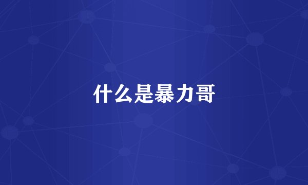 什么是暴力哥