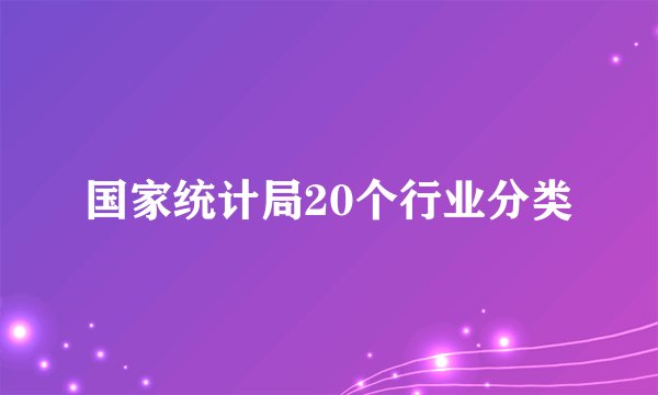 国家统计局20个行业分类
