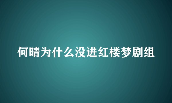 何晴为什么没进红楼梦剧组