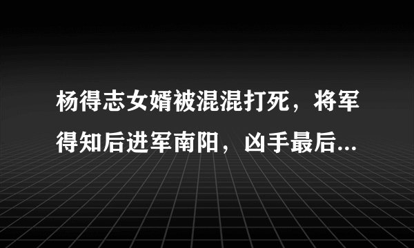 杨得志女婿被混混打死,将军得知后进军南阳,凶手最后全部击毙