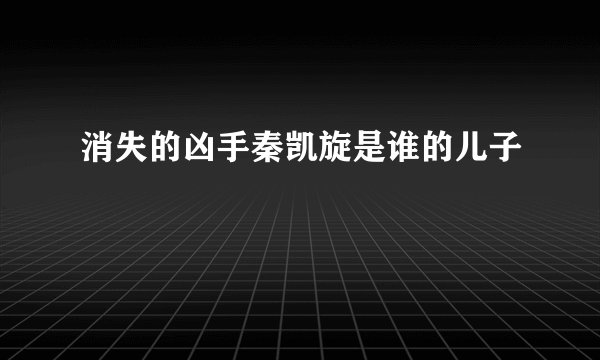 消失的凶手秦凯旋是谁的儿子