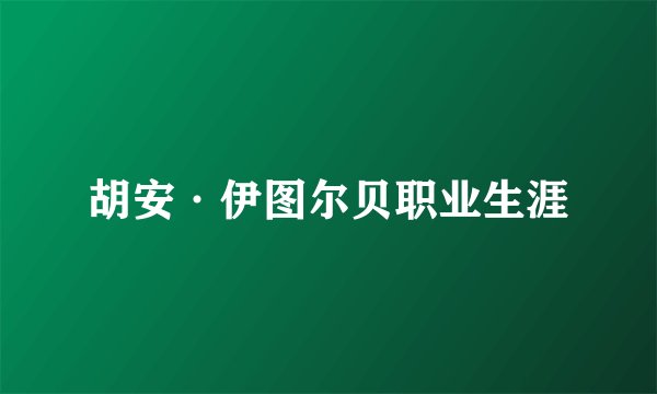 胡安·伊图尔贝职业生涯