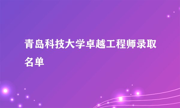 青岛科技大学卓越工程师录取名单