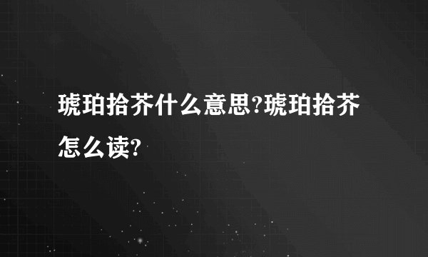 琥珀拾芥什么意思?琥珀拾芥怎么读?