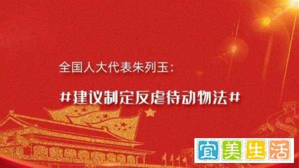 廊坊安次扑杀叫停、致歉,毛孩子们究竟何时有法可依?!