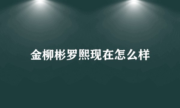金柳彬罗熙现在怎么样