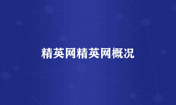 精英网精英网概况