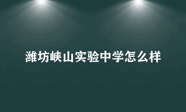 潍坊峡山实验中学怎么样