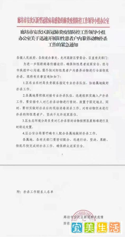 廊坊安次扑杀叫停、致歉,毛孩子们究竟何时有法可依?!